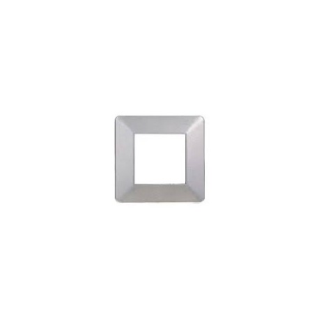 PLACCA 2P SILVER